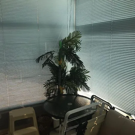 Apartmán Azalia V Ravde *